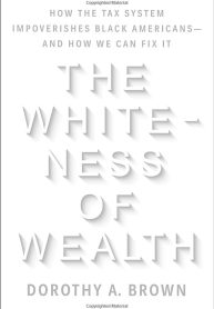 The Whiteness of Wealth image